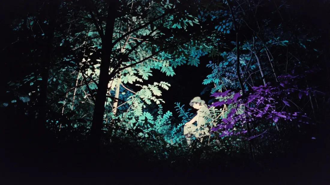 Look « Bioluminescent Night »